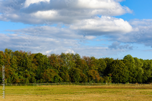 Green pasture field with wooden fence line and lush forest trees under cloudy sky
