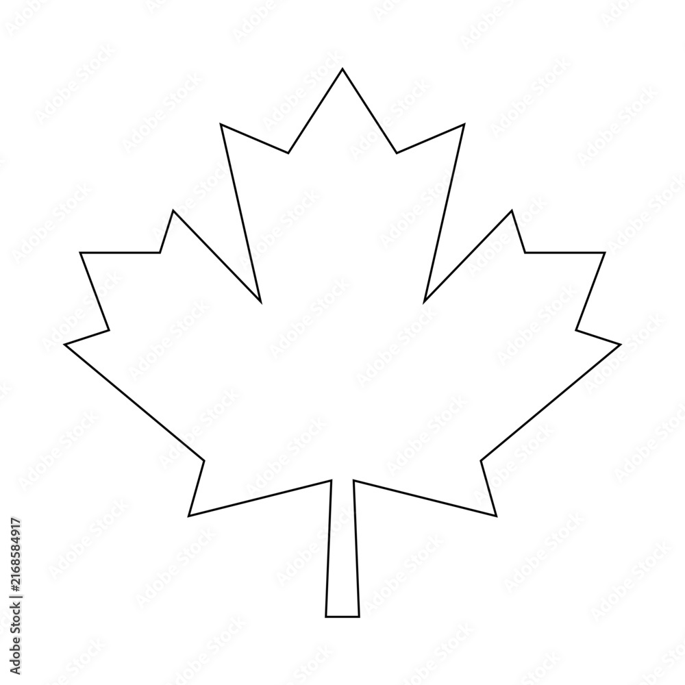 Fototapeta premium Maple leaf