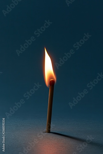 A single lit match burns brightly against a dark background, casting a shadow