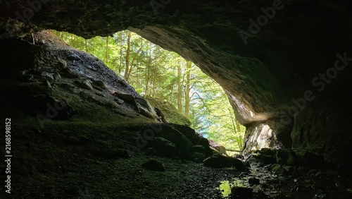 Cuadro en lienzo L'entrée de la grotte des Eaux-Chaudes vue depuis l'intérieur de la caverne (val