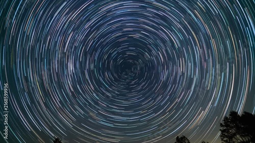 Circular Star Trails Above Silhouetted Trees at Night