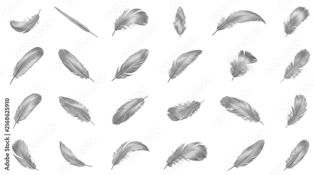 Fototapeta premium Silver Bird Feathers Collection Isolated on Transparent Background PNG