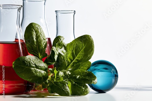 Fresh green leaves and red liquid in labware with a blue orb