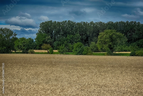View of nature from the road, Czech Republic