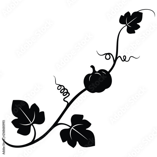Pumpkin vine with leaves black silhouette vector illustration for autumn harvest decoration.