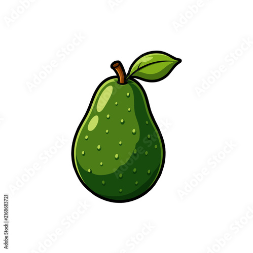 fresh avocado fruit vector