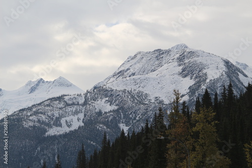 Canvas Print Rogers Pass Trans-Canada Highway snow-capped mountain peaks and evergreen forest