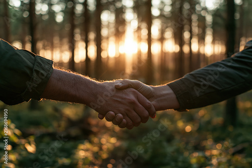 business handshake in forest, closeup of two people making sustainable partnership at sunset, photorealistic