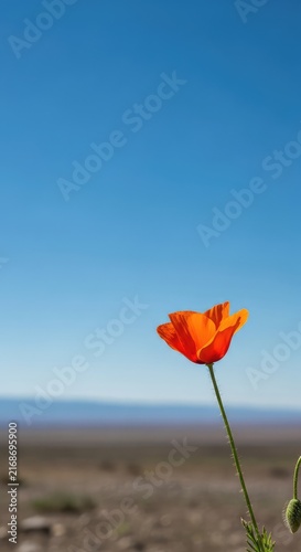 A vast expanse of endless azure horizon meets a minimal landscape, showcasing the brilliance of a cloudless afternoon in natural daylight, oxygen, cloudless, weather