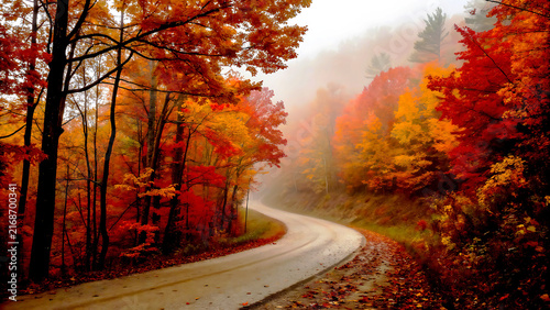 Winding road through autumn forest with golden leaves and mist background