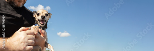 cheerful small dog held securely by its owner against a bright blue sky, a playful pet travel portrait with generous copy space for animal care and tourism campaigns