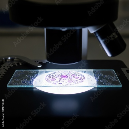 Microscope slide with intricate cellular patterns illuminated for scientific examination