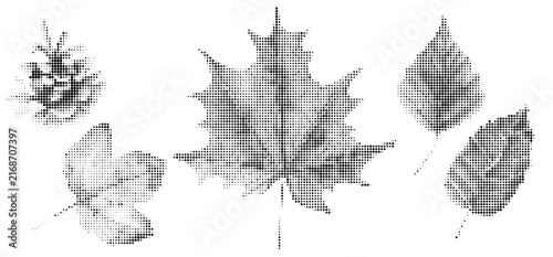 Collection of different autumn leaves and a pinecone, halftone dot style illustration