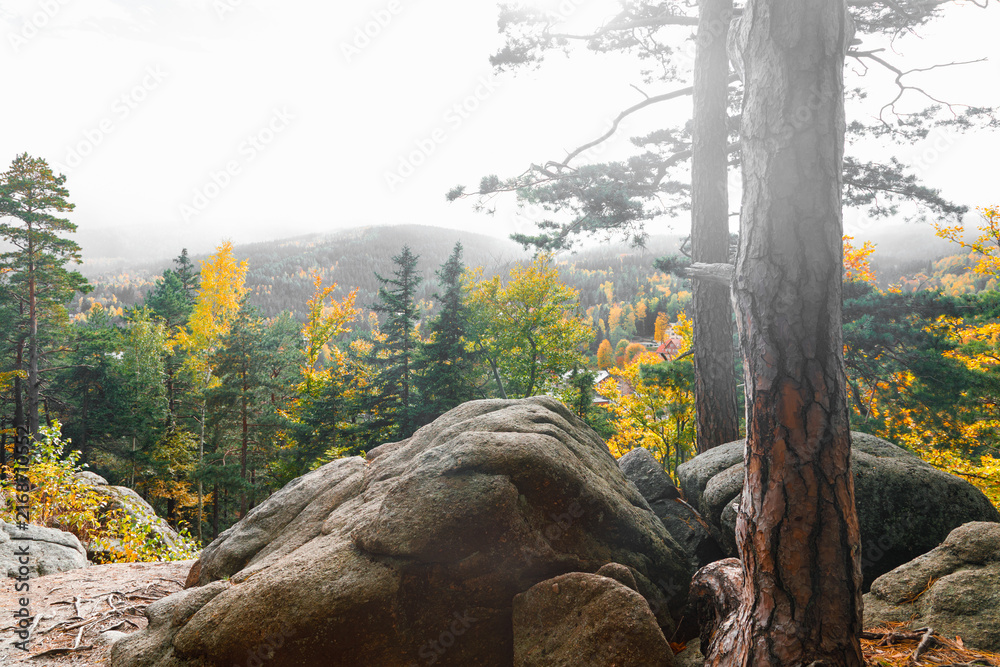 Fototapeta premium Autumn landscape in the mountain forest of the Karkonosze National Park in Poland, Europe