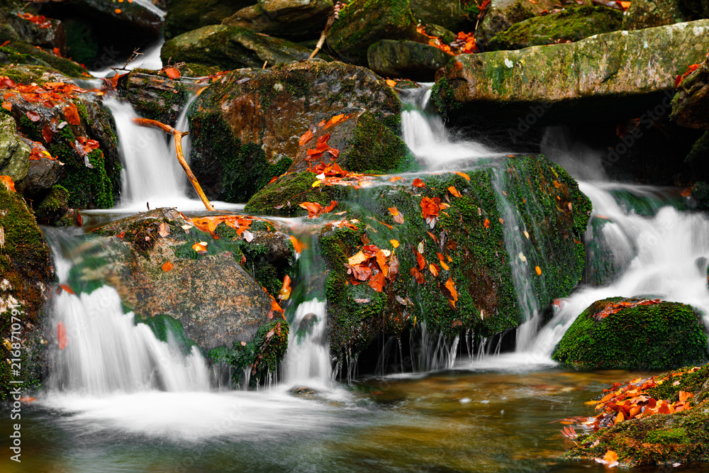 Naklejka premium Waterfall. Autumn landscape with waterfall in the mountain forest of the Karkonosze National Park in Poland, Europe