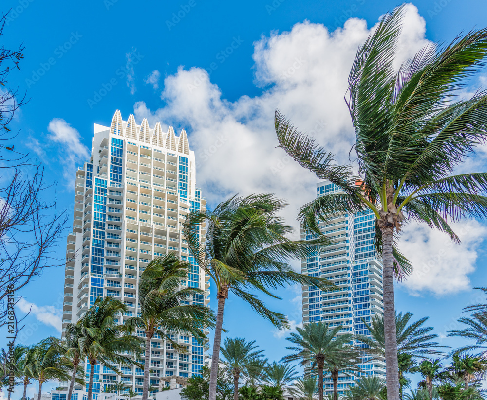 Fototapeta premium Palm trees and skyscrapers in Miami Beach under blue sky