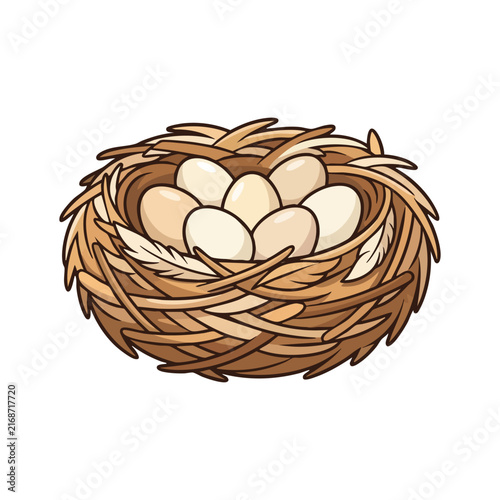 Bird's Nest with Eggs in Nature Illustration