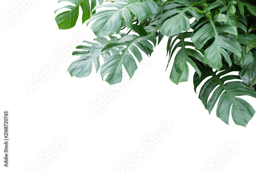 Diagonal Leaf Spread