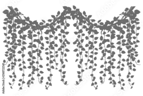 Hanging ivy vines' shadow, Trailing Botanical Leaves Garland Border
