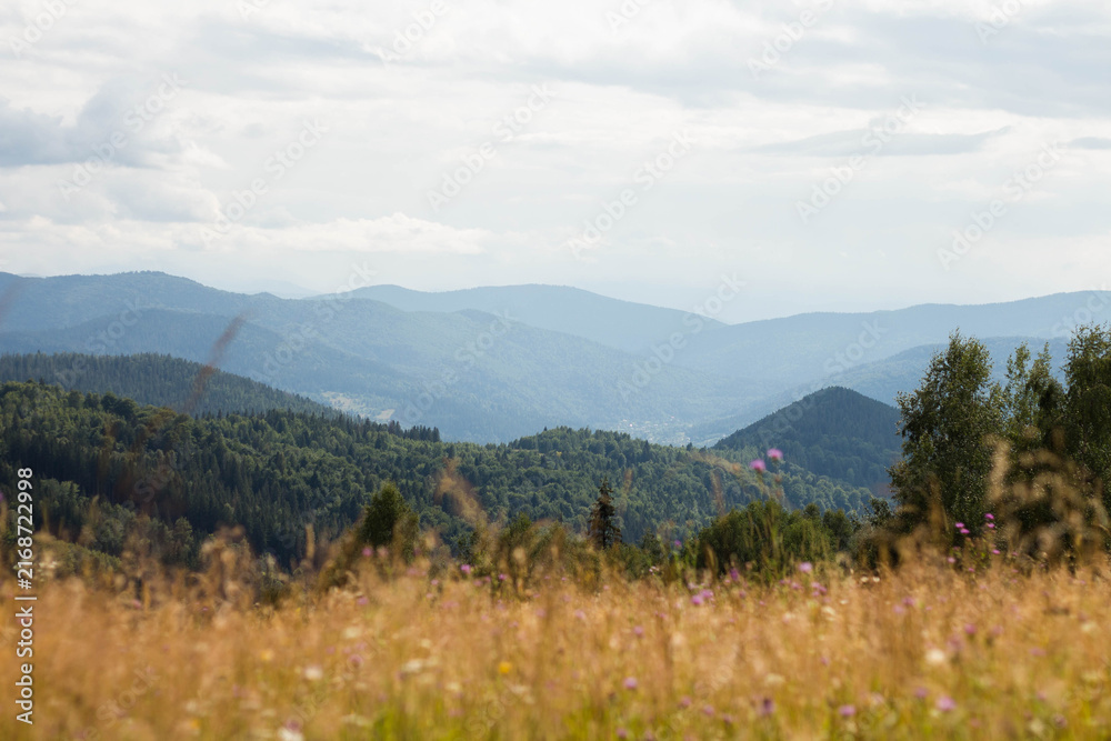 Fototapeta premium mountain landscape