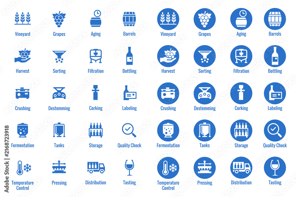 Fototapeta premium Wine production process icon set with vineyard, fermentation and bottling