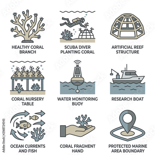 Illustrated icons of coral reef conservation and marine research activities.