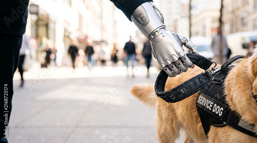 Service dog with robotic hand handler walking on city street