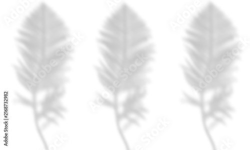 Three Soft Feather Shadow Overlays Row Background