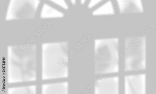 Soft Arched Window Frame Shadow Overlay with Leaf Silhouette