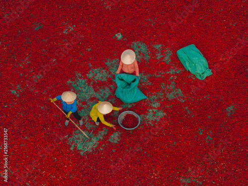 Obraz na plátně Aerial view of a worker with a conical hat sorting red chilies drying in De Gi,