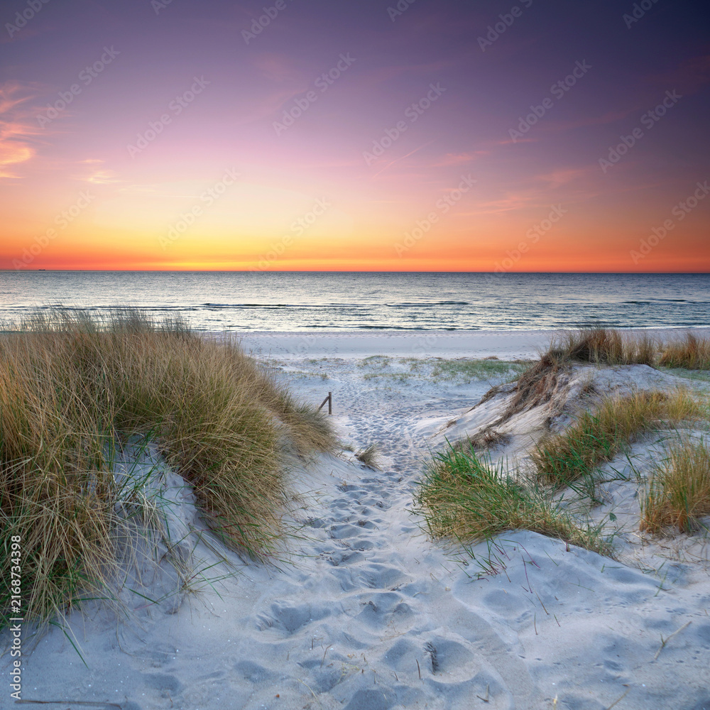 Fototapeta premium Idyllic Baltic Sea Beach with a Sandy Trail Through the Dunes
