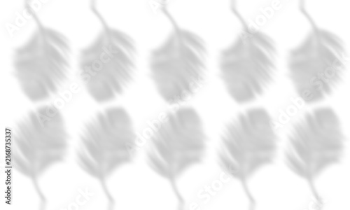 Repeated Palm Frond Leaf Shadow Overlay Pattern