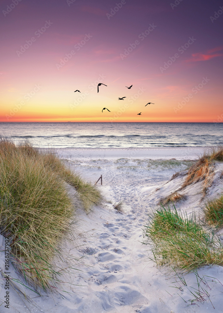 Fototapeta premium Sandy Path Through Coastal Dunes to the Baltic Sea at Sunrise