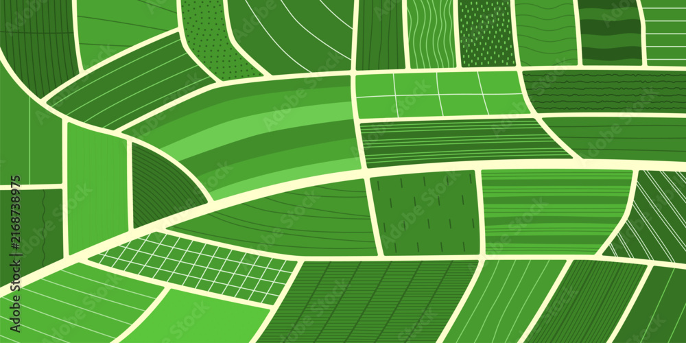 Fototapeta premium Top view of agriculture farm field, rice and green tea plantation background. Abstract aerial map, agricultural patchwork landscape, land texture of vineyard, farmland, rice paddy terrace, countryside