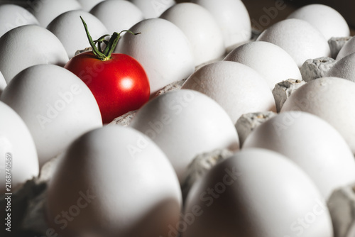 Fotografie Red Tomato Standing Out Among White Eggs in Carton