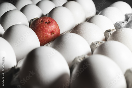 Fotografie Red Potato Standing Out Among White Eggs in Carton