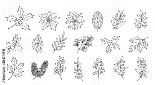 Collection of hand drawn botanical sketches illustrates various christmas leaves including holly and pine with festive berry sprigs.