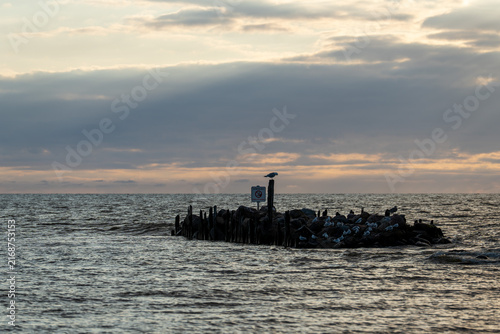 Canvastavla Seagulls resting on a rocky breakwater in the Baltic Sea beneath a dramatic cloudy evening sky