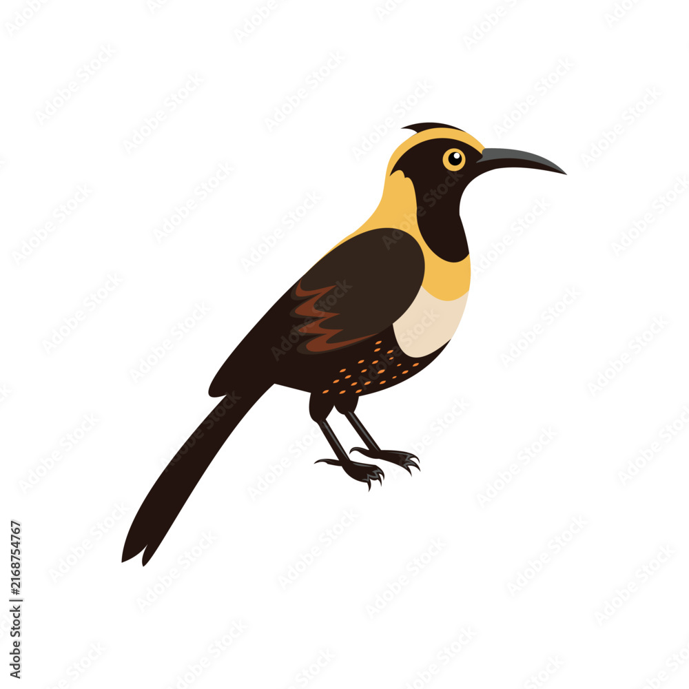 Obraz premium bird