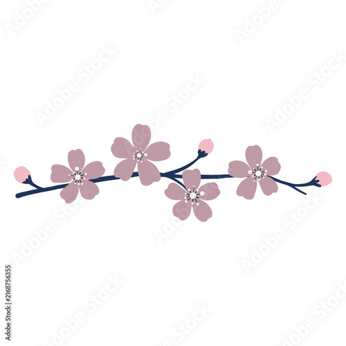 Minimal flat sakura branch illustration, blush pink cherry blossom clipart horizontal branch top view, botanical flower icon isolated on white background