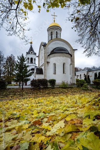 Картината върху платно view of the Alexander Nevsky Church in the Vladimir Rozhdestvensky Monastery