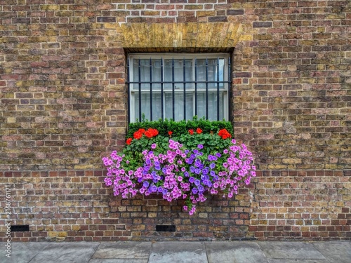 flores, ventana, barrotes, antiguo, palacio, muro