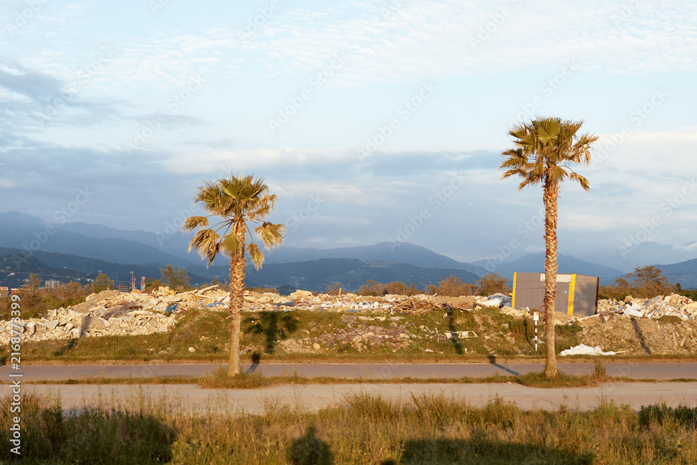Fototapeta premium Desert landscape with two palm trees beside a road, distant mountains and a clear sky, rugged terrain bathed in warm light, suitable for lifestyle outdoor imagery featuring travel