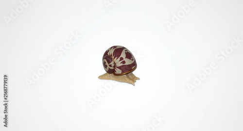 Decorative snail figurine with maroon batik patterned shell, artistic mollusk sculpture, isolated on white background
