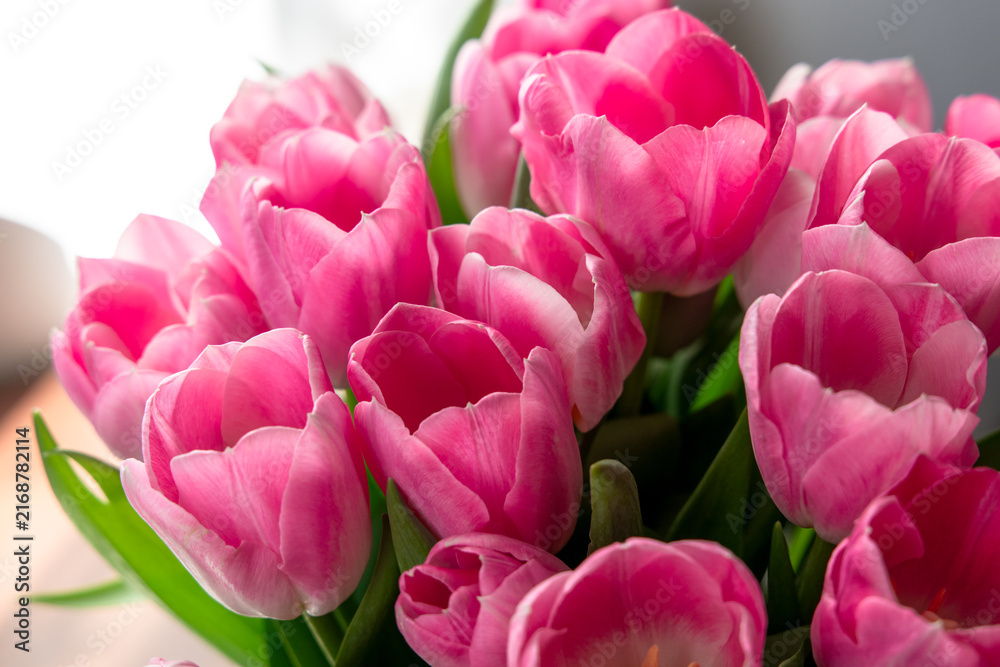 Obraz premium Bright tulips are arranged in a vase and placed near a window where light shines through in a cheerful setting