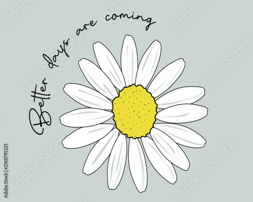 daisies  background texture set positive quote hand drawn