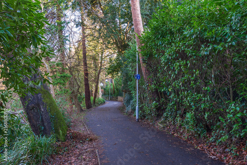 Foto Upper Gardens, Bournemouth, UK - February 4th 2026: The path going through the grade II listed garden