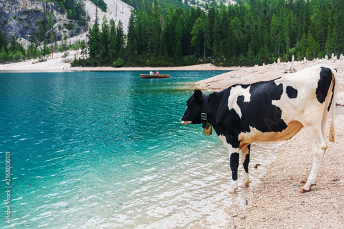 Фотография Scorcio del Lago di Braies - Bolzano - Alto Adige