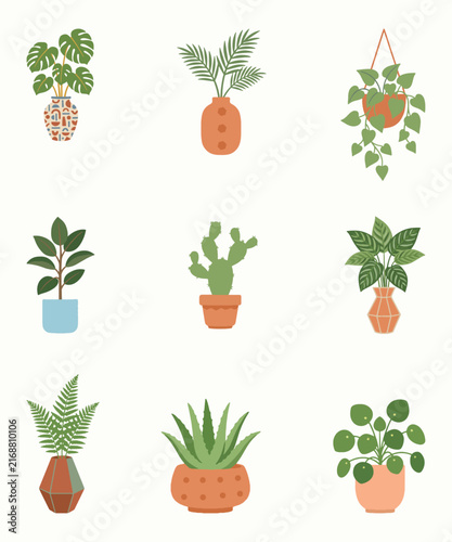 Boho Potted Houseplants Vector Set featuring Monstera Fern Cactus and Succulents