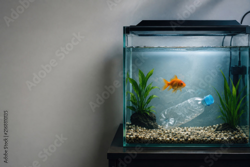 Goldfish swims beside a plastic bottle in aquarium. Space for text.